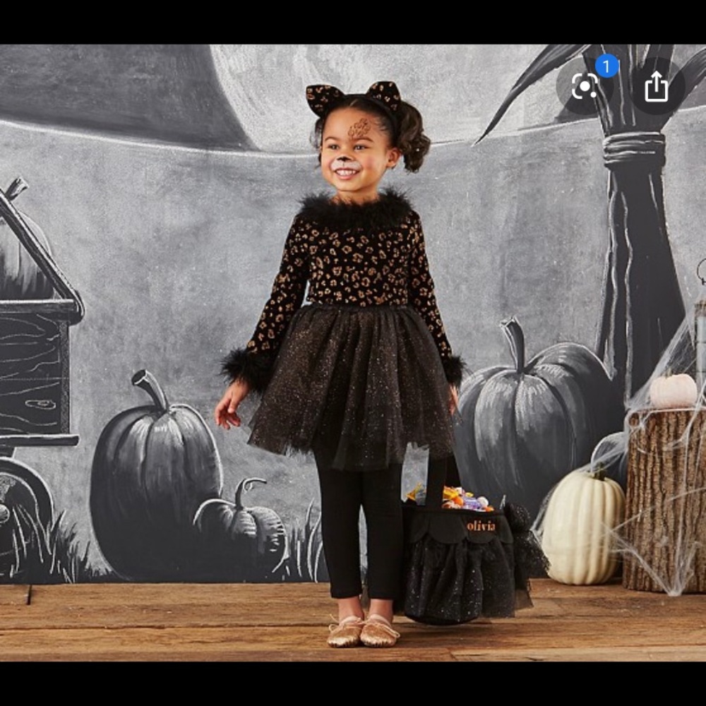 LIKE NEW! Pottery Barn Kids Leopard TuTu Costume